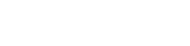 Well Placed Packing Service