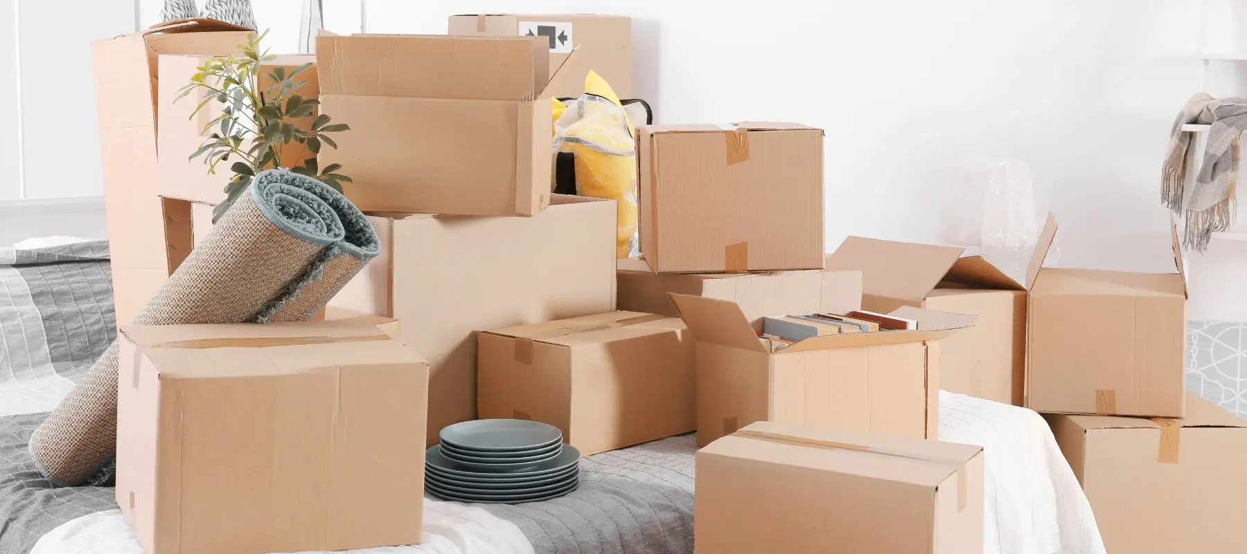 A bed covered in a collection of cardboard moving boxes, a rolled-up rug, a small potted plant, and a stack of plates.